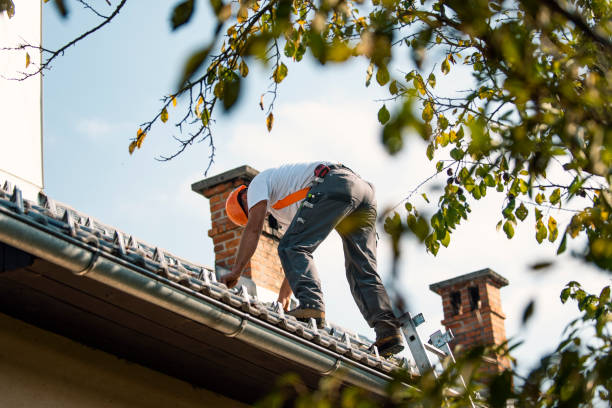 Roof Waterproofing Services in Tacoma, WA