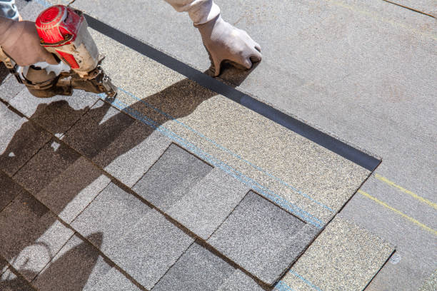 Best Metal Roofing Contractor  in Tacoma, WA